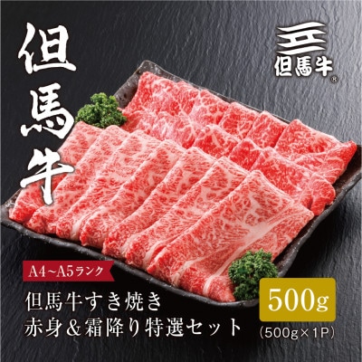 【但馬牛】すき焼き 赤身＆霜降り 特選セット500g【配送不可地域：離島】【1313137】