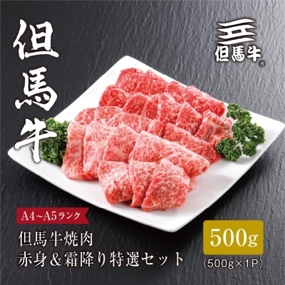 【但馬牛】焼肉 赤身＆霜降り 特選セット500g【配送不可地域：離島】【1313161】