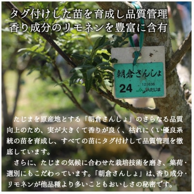 冷凍 朝倉さんしょ 200g 実山椒 軸取り あく抜き済み クール冷凍便 兵庫県産 直送【配送不可地域：離島】【1747294】