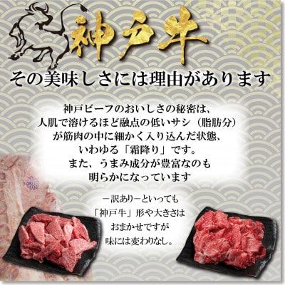 訳あり 神戸牛 切落し肉・焼肉用 400gずつ 計800g YBSY2【2026年4月より順次発送】【配送不可地域：離島】【1681961】
