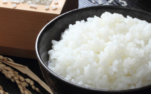 令和8年産【先行受付】2026年9月以降発送【蛇紋岩ブランド　別格米10kg】【1394170】