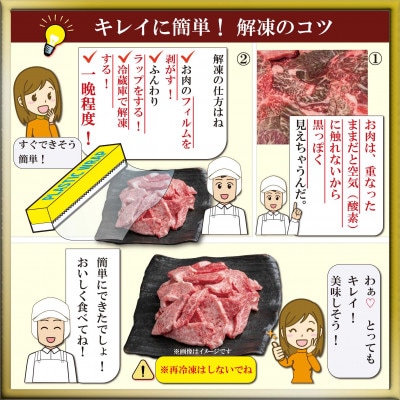但馬 太田牛　訳あり 切り落とし肉 500g OS1【配送不可地域：離島】【1737476】