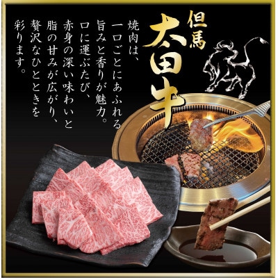 但馬 太田牛 焼肉セット 計1kg OYS5【配送不可地域：離島】【1737500】