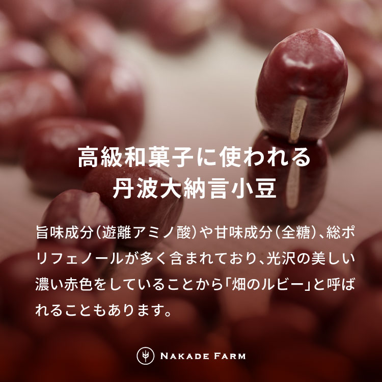 赤飯パック 赤鬼飯 24個 贈答用パッケージ もちもち食感 レンジ対応 あかめし お赤飯 赤米飯 お祝い 慶事 お食い初め 誕生日 お取り寄せ 産地直送 兵庫県 丹波市