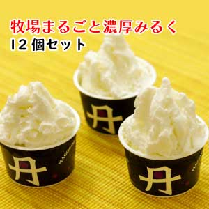 ふるさと納税 アイス 牧場まるごとみるく 丹波みるくアイス 12個セット