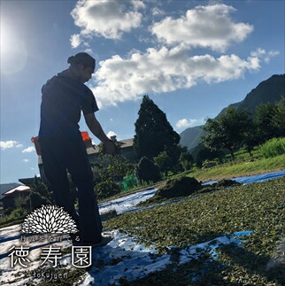 丹波 有機栽培 天日干し赤ちゃん番茶 テトラ 2g×50個入り 3袋 有機JAS認証 オーガニック 天日干し ティーバッグ お茶 茶 赤ちゃん用 離乳食 カフェインレス 無添加 産地直送 兵庫県 丹波市