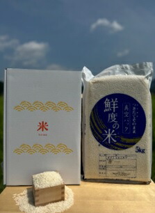 特別栽培米 丹波コシヒカリ 真空パック 5kg 令和7年産 贈答用箱入り 精米 鮮度米 ブランド米 こしひかり お米 白米 ごはん 米 5キロ 一等米 産地直送 お取り寄せ 兵庫県 丹波市