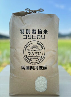 特別栽培米 丹波コシヒカリ 玄米10kg 令和7年産 減農薬 減化学肥料 ブランド米 こしひかり お米 玄米 10キロ 一等米 健康志向 産地直送 お取り寄せ 兵庫県 丹波市
