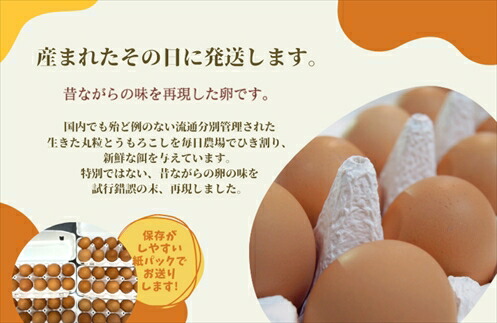 䞹波奥é·ã®åµ ããŸã¶ã 45å+5åç Žåµè£å çŽ3kg èªå®¶é
åé£Œæ æ°é®®åµ ããŸã çå ãšãã° æ¿ååµé» ãã£ããåµçœ é«çŽåµ æé£ ãèåäœã ç£å°çŽé ãåãå¯ã å
µåº«ç 䞹波åž