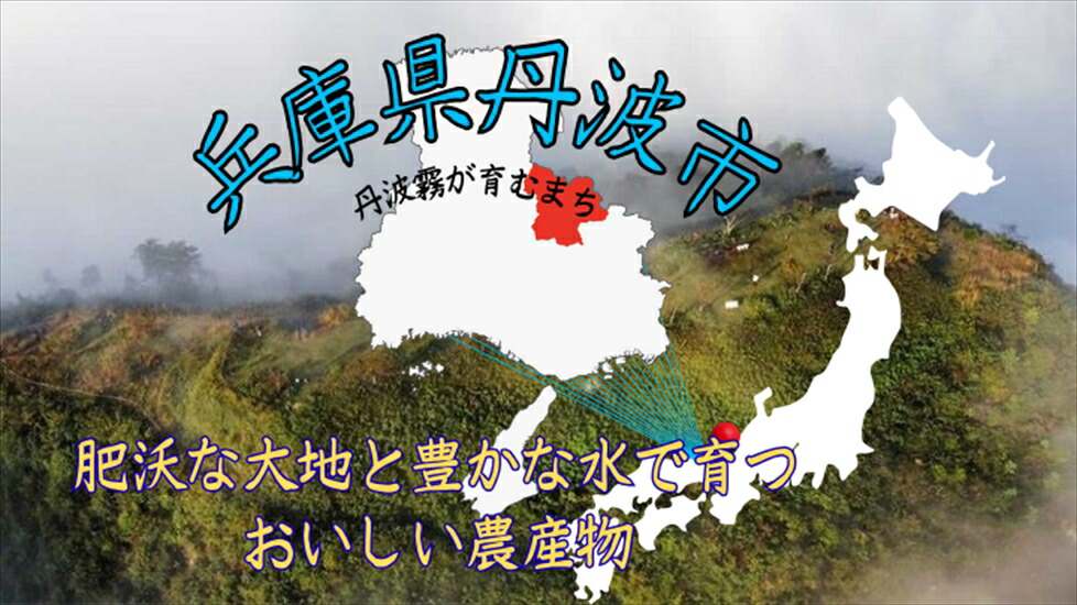 䞹波ç£ã³ã·ãã«ãª é§ã®æµã¿ 5kgÃ5ã¶æ å®æäŸ¿ ç¡æŽç±³ ããã²ãã ãç±³ ç±³ ãã¯ã ãã©ã³ãç±³ çœç±³ 5ãã 5ãæ æ¯æ 宿 ç£å°çŽé ãåãå¯ã å
µåº«ç 䞹波åž