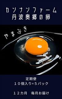 12ヶ月定期便 丹波奥郷の卵 やまぶき 45個+5個破卵補償 約3kg 自家配合飼料 濃厚卵黄 すっきり卵白 たまご 玉子 新鮮卵 産直 定期 毎月 お取り寄せ 兵庫県 丹波市