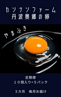 3ヶ月定期便 丹波奥郷の卵 やまぶき 45個+5個破卵補償 約3kg 自家配合飼料 新鮮卵 たまご 卵 玉子 エッグ 濃厚 定期 卵かけご飯 お菓子作り お取り寄せ 産地直送 兵庫県 丹波市