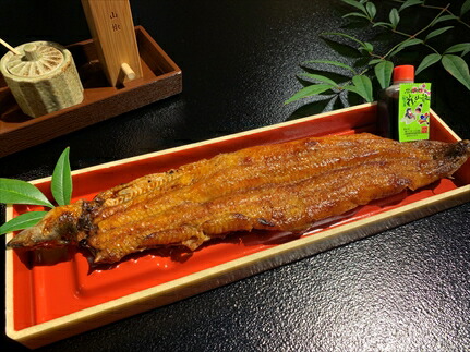 うなぎ辻判 国産鰻炭火蒲焼き 1尾 創業200年 老舗 継ぎ足しタレ 備長炭焼 炭火焼 国産うなぎ 国産ウナギ 鰻 ウナギ 蒲焼 かば焼き 土用丑の日 お取り寄せ 兵庫県 丹波市