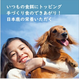 鹿の匠丹波 鹿のおやつ大盛B 日本鹿 ペットフード 犬 ドッグフード おやつ 無添加 ナチュラル しか シカ 鹿肉 野生 ペット用品 愛犬 わんちゃん 天然 兵庫県 丹波市