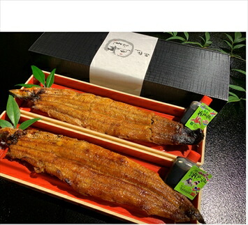 うなぎ辻判 国産鰻炭火蒲焼き 2尾 創業200年 老舗 備長炭 継ぎ足しタレ うなぎ 鰻 ウナギ 蒲焼 かばやき 炭火焼き 国産 土用の丑 お取り寄せ 兵庫県 丹波市