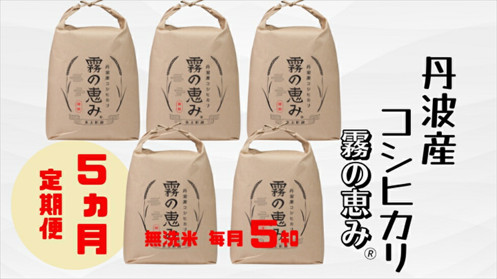 䞹波ç£ã³ã·ãã«ãª é§ã®æµã¿ 5kgÃ5ã¶æ å®æäŸ¿ ç¡æŽç±³ ããã²ãã ãç±³ ç±³ ãã¯ã ãã©ã³ãç±³ çœç±³ 5ãã 5ãæ æ¯æ 宿 ç£å°çŽé ãåãå¯ã å
µåº«ç 䞹波åž