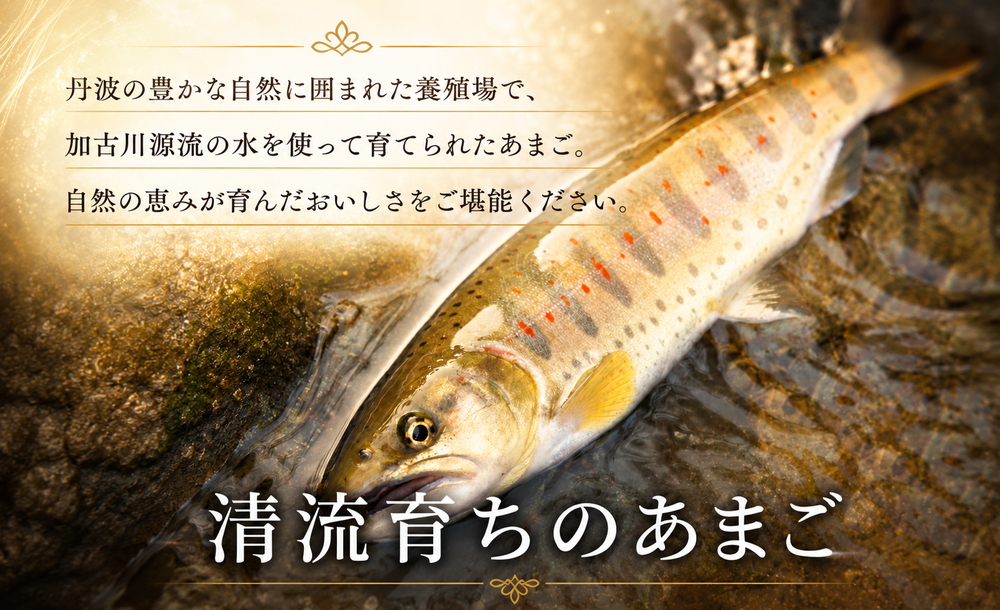 あまごづくしペアチケット（お2人様分） 清流育ち あまご料理フルコース  川魚 鮎 あゆ 渓流魚 和食 懐石 食事券 お食事券 利用券 チケット ランチ ディナー デート 記念日 グルメ 体験 兵庫県 丹波市