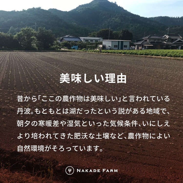 赤飯パック 赤鬼飯 12個 贈答用パッケージ もちもち食感 レンジ対応 せきはん お赤飯 赤米 もち米 パック 個包装 簡単調理 お祝い お取り寄せ 兵庫県 丹波市