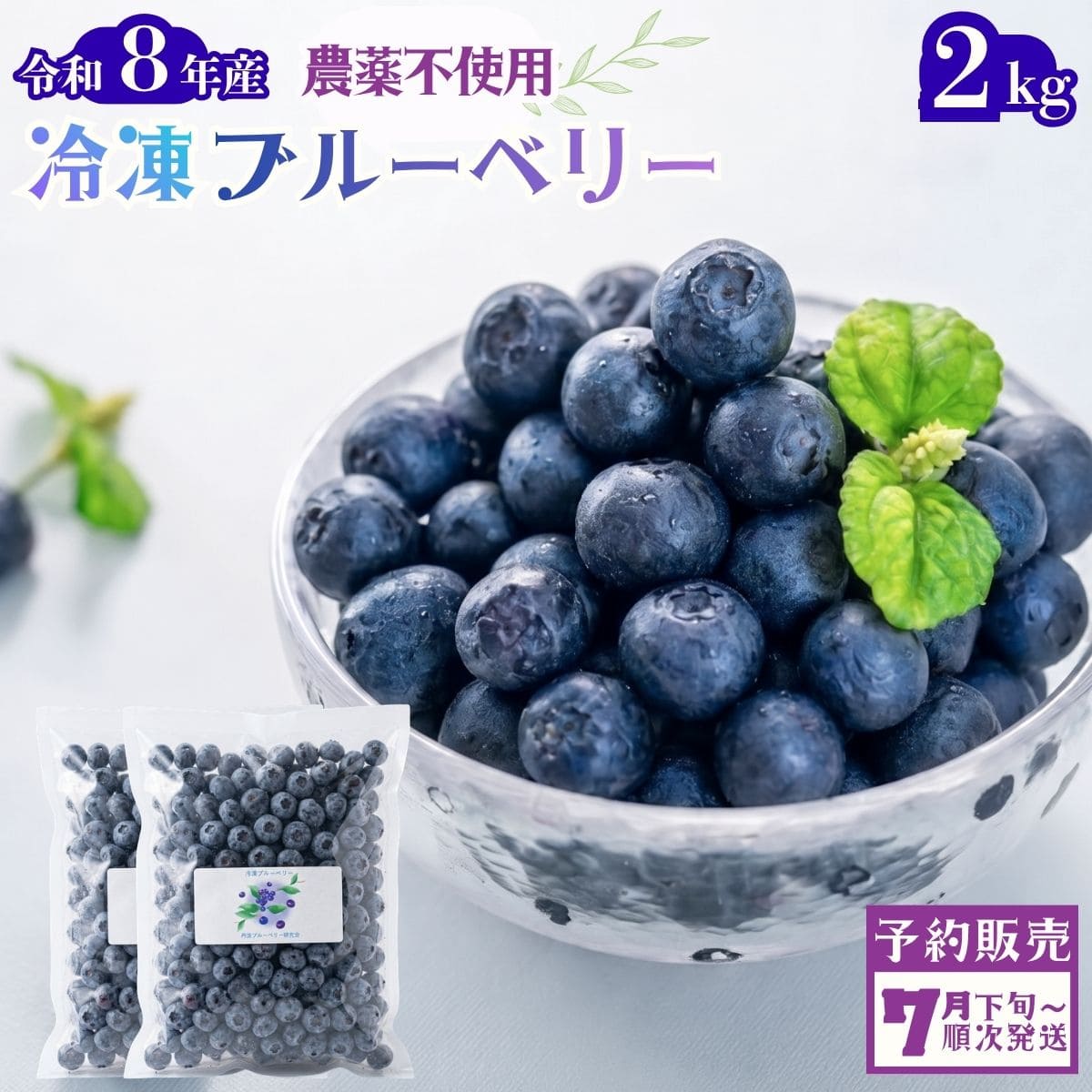 〈先行予約〉令和8年産 丹波市産 ブルーベリー 冷凍 2kg 超大粒 無農薬 有機栽培 ひょうご安心ブランド 果物 フルーツ くだもの ぶるーべりー 産地直送 お取り寄せ 兵庫県 丹波市