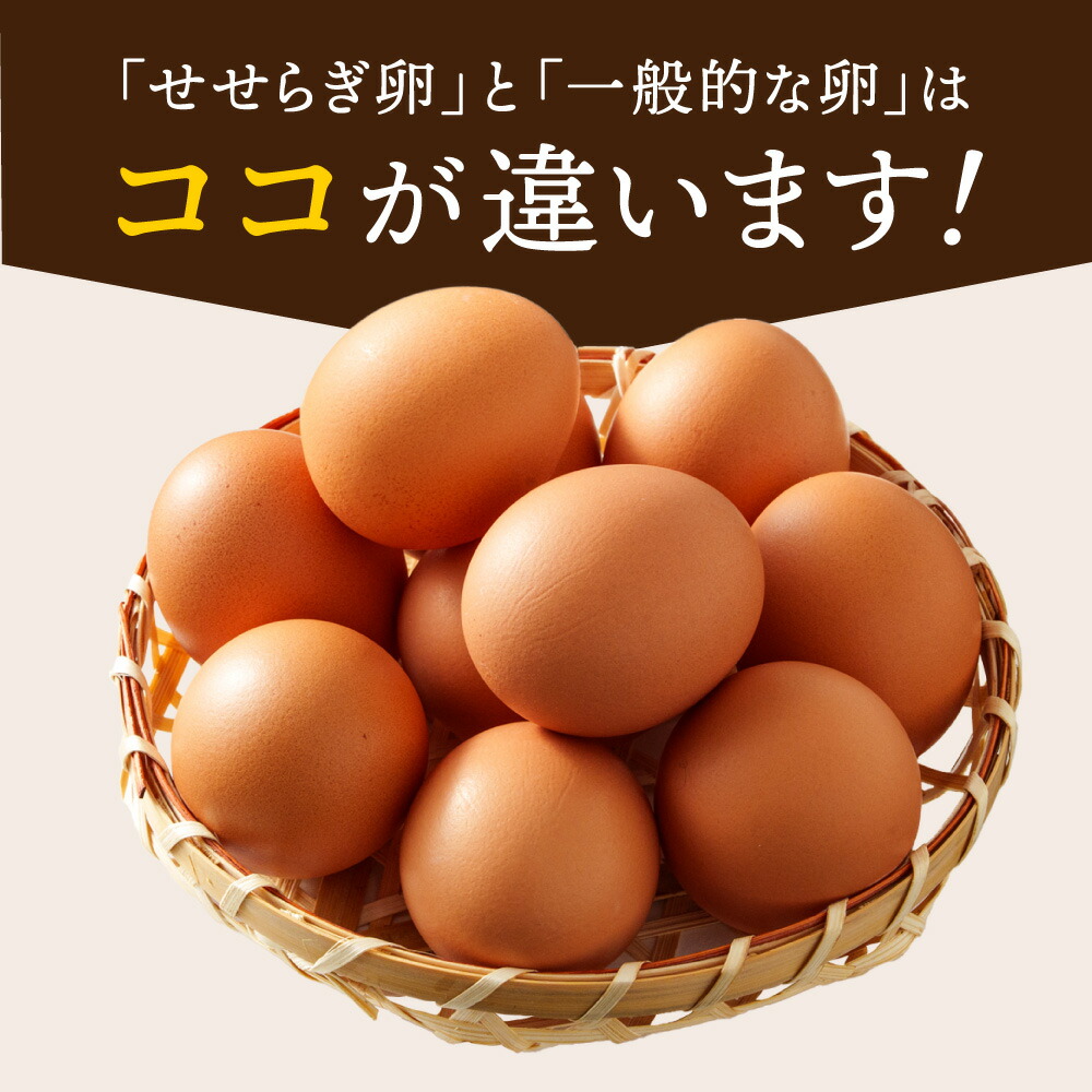 ãæäžããå®¶ã®ããããåµã75åïŒ5åç Žåµè£å (èš80åïŒ æ°é®®åµ ããŸã ã¿ã㎠çå çåµ èªèšŒé£å ã²ãããæšå¥šãã©ã³ã ç£å°çŽé ãåãå¯ã å
µåº«ç 䞹波åž