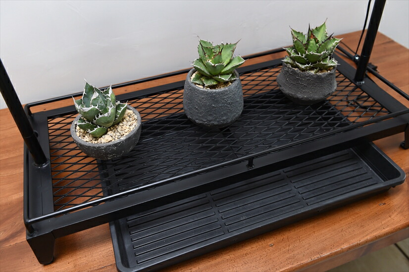 ライティングレール付き植物棚 ボタニカルラック Wスタンダード 観葉植物 多肉植物 植物育成 インドア ガーデニング 園芸 育成ライト サーキュレーター インテリア 贈答 記念品 兵庫県 丹波市