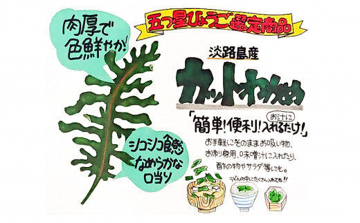 淡路島産カットわかめ 10袋