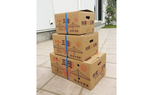 【12ヶ月定期便】「追熟甘玉ねぎ」３kg