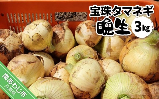 宝珠タマネギ　晩生　３キロ　★６月下旬から発送