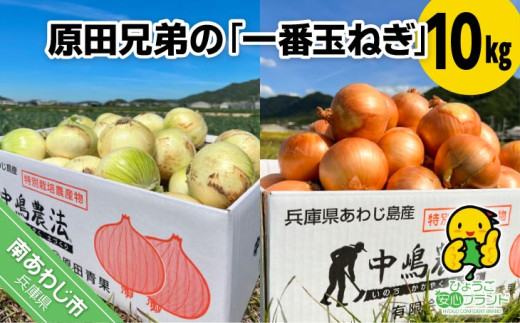 原田兄弟の一番玉ねぎ　10kg