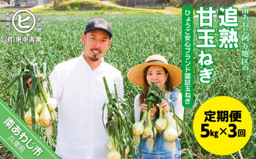 【3ヶ月定期便】「追熟甘玉ねぎ」５kg