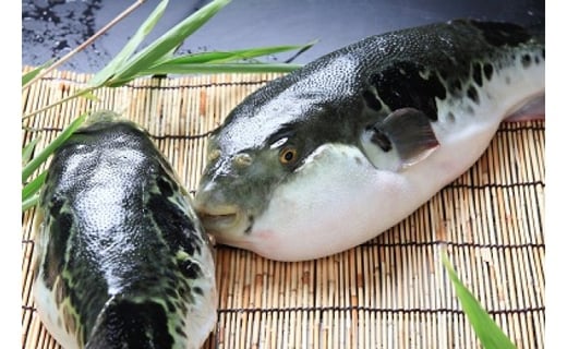縲先キ。霍ッ蟲カ3蟷エ縺ィ繧峨オ縺舌醍ォケ 縺オ縺宣豪繝サ蛻コ霄ォ繧サ繝繝(5縲6莠コ蜑)