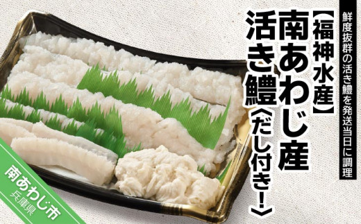 ［南あわじのハモ］南あわじ産 活き鱧　だし付きでお届け！★配送7月11日〜9月22日