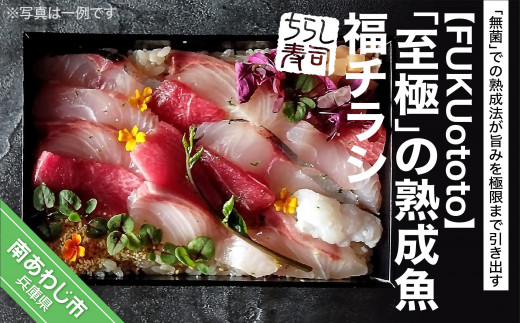 「至極」の熟成魚 福チラシ