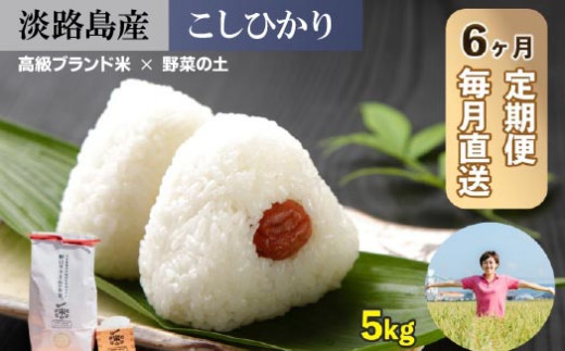 【6回定期便】mamayasai コシヒカリ５kg