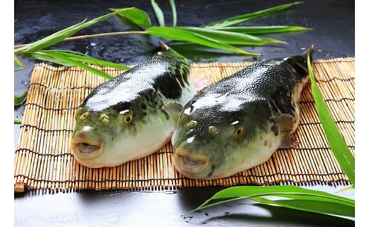 縲先キ。霍ッ蟲カ3蟷エ縺ィ繧峨オ縺舌第エサ縺ヲ縺」縺(6縲7莠コ蜑)