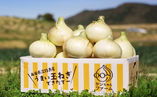 【新玉予約！】＼うまい玉ねぎできたでー／ 特別栽培・新玉ねぎ3㎏  ～ひょうご安心ブランド認証取得～◆配送R9.3月中旬～5月末