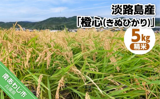 令和７年度産 新米 淡路島産「橙心(きぬひかり)」　精米5kg　◆配送9月末〜