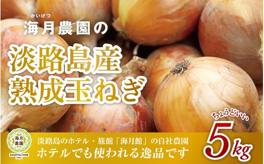海月館 自社農場栽培！淡路島産 玉ねぎ 5kg