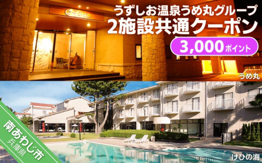 うずしお温泉うめ丸グループ【2施設共通クーポン】3000P