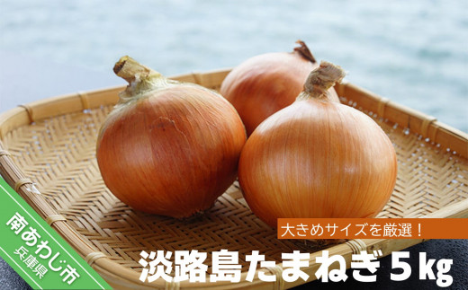 淡路島たまねぎ　5kg