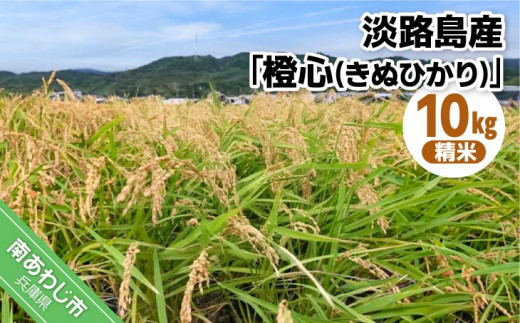 令和７年度産 新米 淡路島産「橙心(きぬひかり)」　精米10kg　◆配送9月末〜
