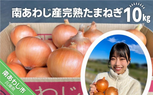 【別所冷蔵】南あわじ産完熟たまねぎ　10ｋg　◆配送６月下旬〜翌年１月末