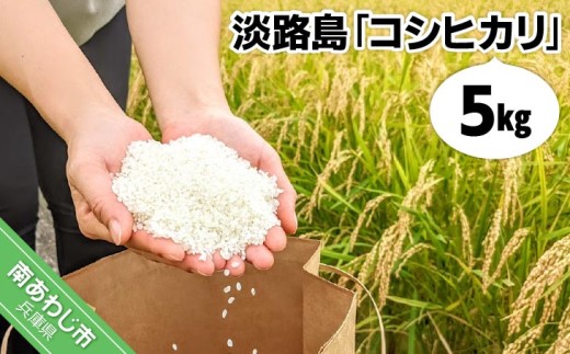 【ヤマモト】淡路島「コシヒカリ」5キロ〈令和7年度産〉