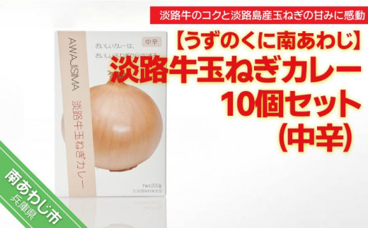 化学調味料不使用【淡路牛玉ねぎカレー】（中辛）10個セット