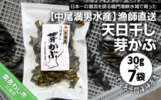 【中尾満男水産】【漁師直送】天日干しめかぶ30ｇ×7袋【淡路島鳴門海峡原産】