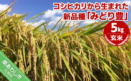 莉、蜥鯉シ怜ケエ逕」繝サ邇邀ウ縲弱∩縺ゥ繧願ア翫擾シ斌g縲10譛井クュ譌ャ鬆縺九i逋コ騾