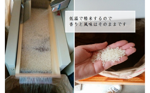 【ひょうご推奨ブランド】玉ねぎ・お米セット（各5kg）