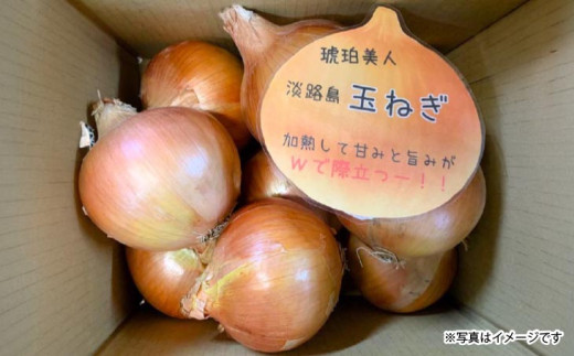 淡路島極ççè±ãã·ã£ãŒããããªããªã³ã2kgããçããå€§åœæ·¡è·¯å³¶ããã®çãã