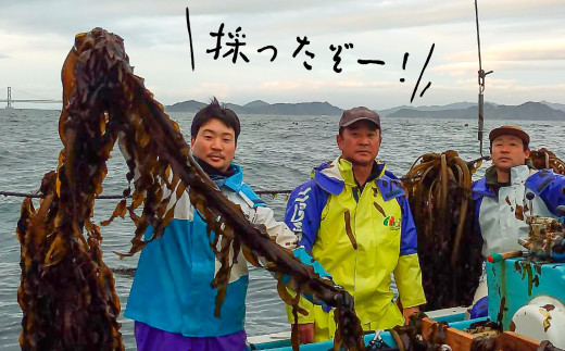 ãæŒåž«çŽéãæ¹¯éãå¡©èµããã300ïœÃ2è¢ãæ·¡è·¯å³¶é³Žéæµ·å³¡åç£ã