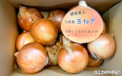 淡路島極ççè±ãã·ã£ãŒããããªããªã³ã4kgããçããå€§åœæ·¡è·¯å³¶ããã®çãã